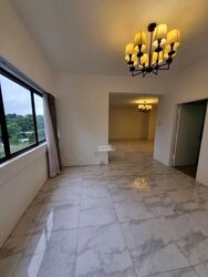 The Cairnhill (D9), Condominium #575019461